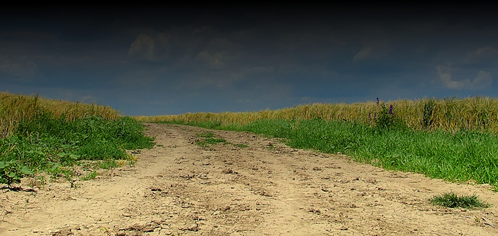 second slideshow slide